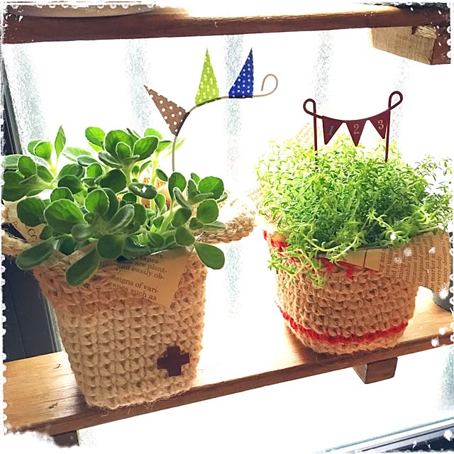 mapleさんの実例写真