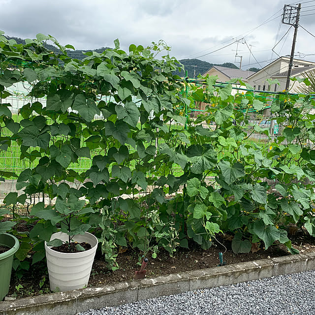 odekoさんの実例写真