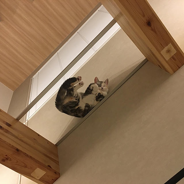 mikkumikuさんの実例写真