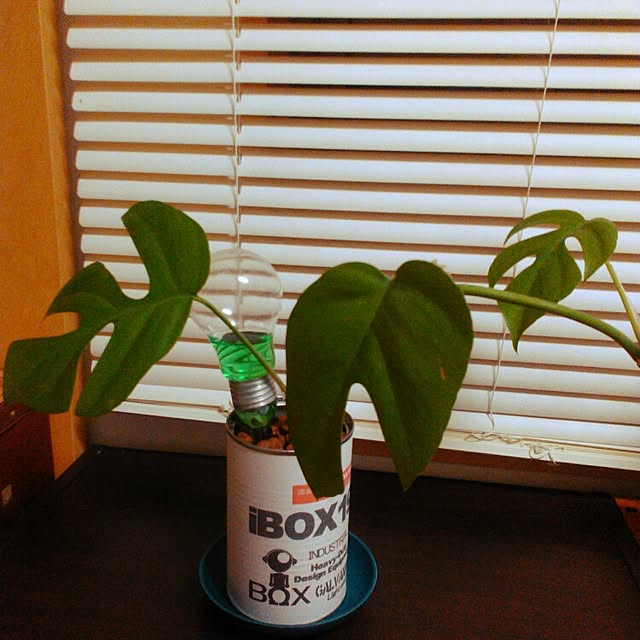 ibox1969さんの実例写真