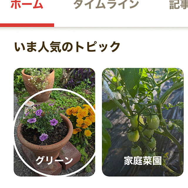 実例写真