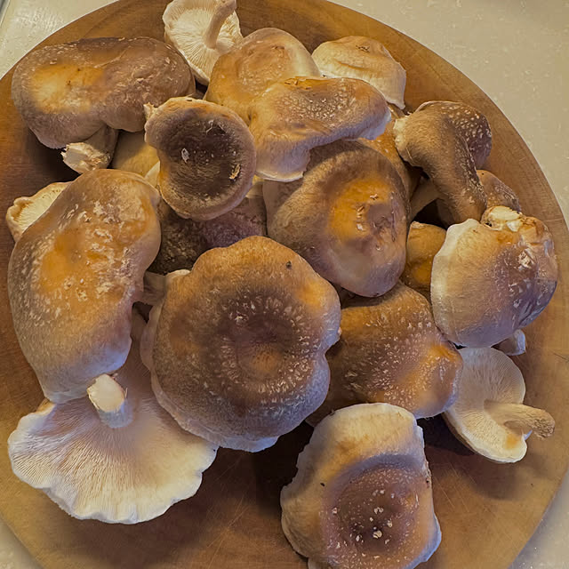 hamahamaさんの部屋