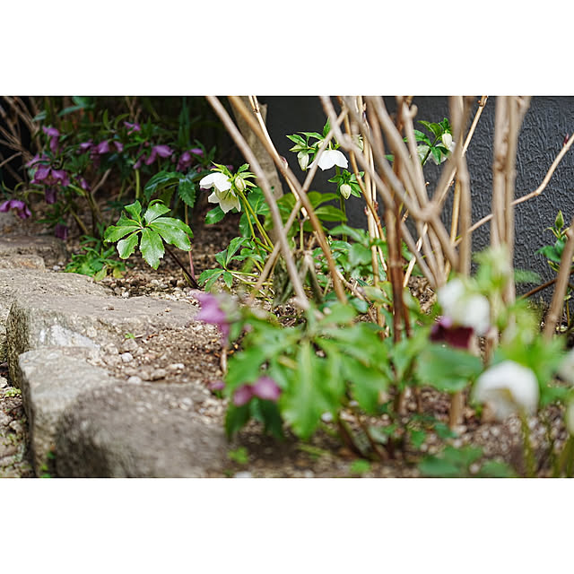 haruisabelさんの部屋