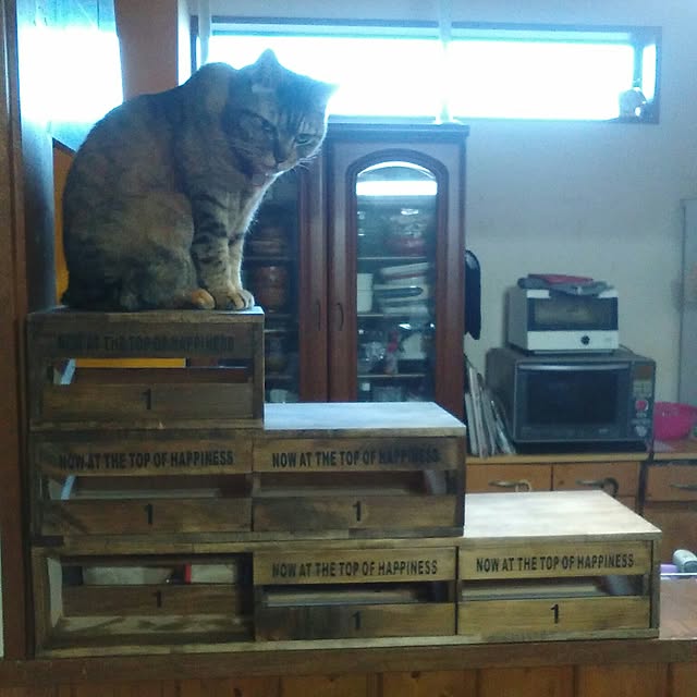 kiyopさんの実例写真