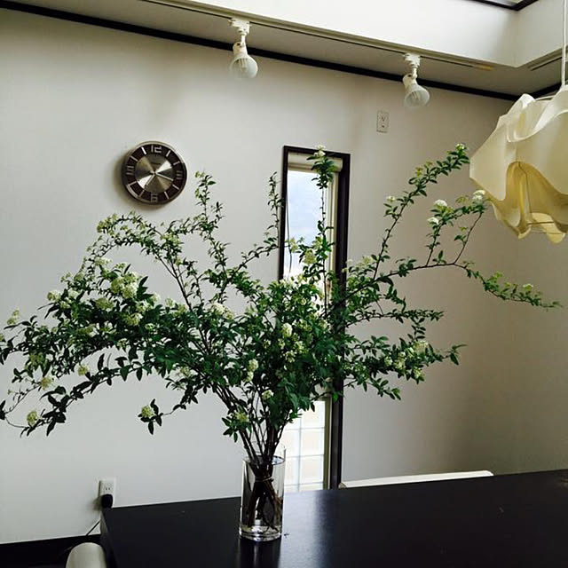 yuki.ism.124さんの実例写真