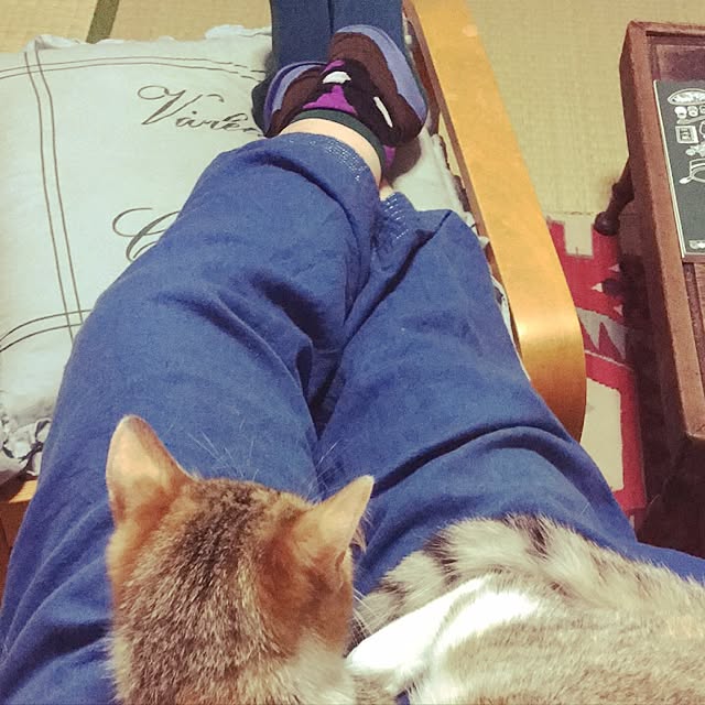 Lankaさんの実例写真