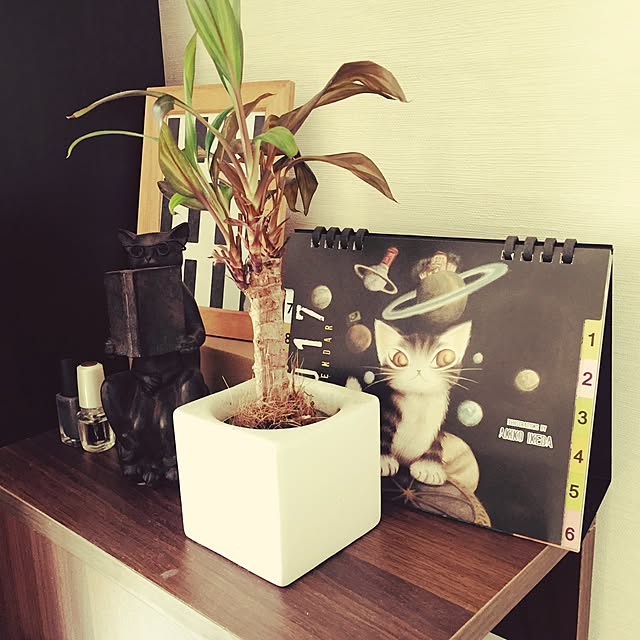 mokichiさんの実例写真