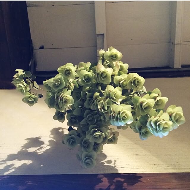 acicombさんの実例写真