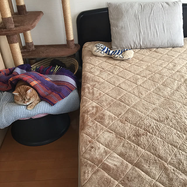 k.mさんの実例写真