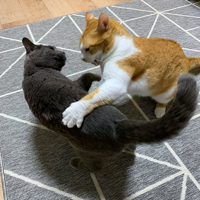 73さんの実例写真