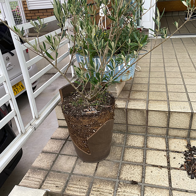 chIoeさんの実例写真