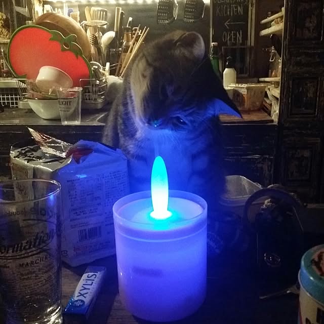 annさんの実例写真