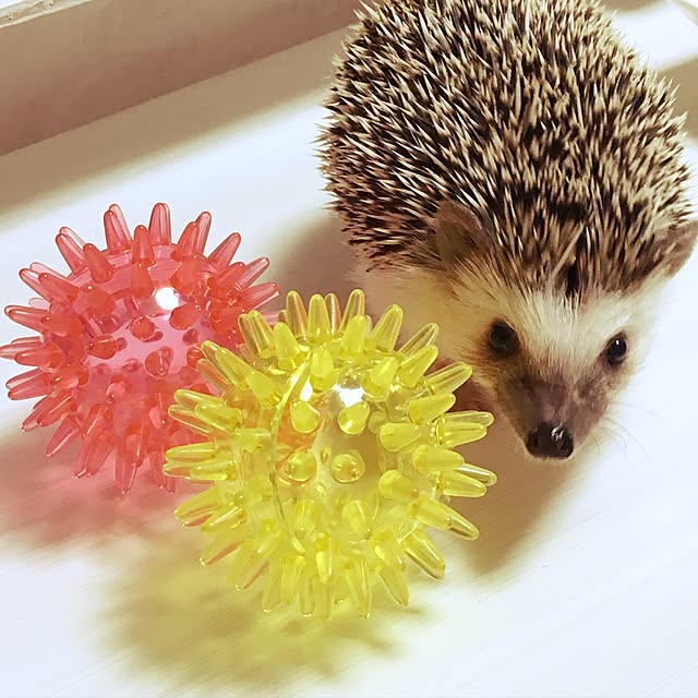 ymusicさんの実例写真