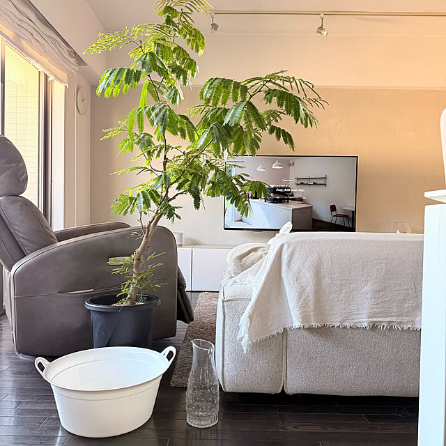 biroballonneさんの実例写真