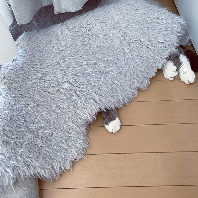 mamuさんの実例写真