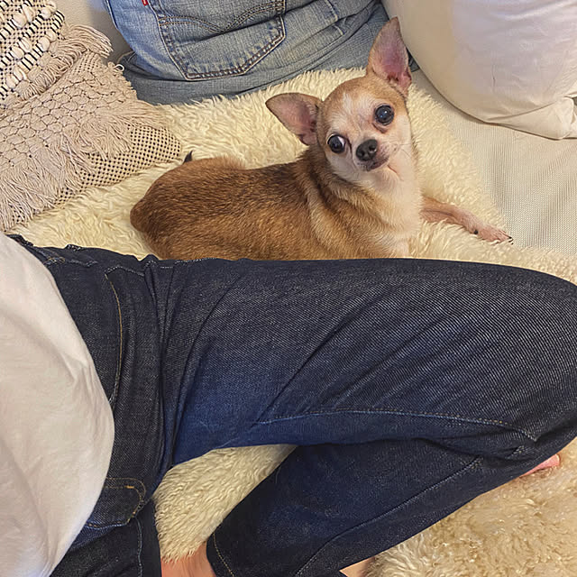 namiheeeeyさんの実例写真