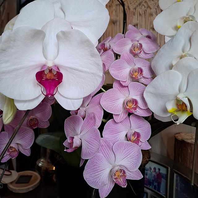 midoriさんの部屋