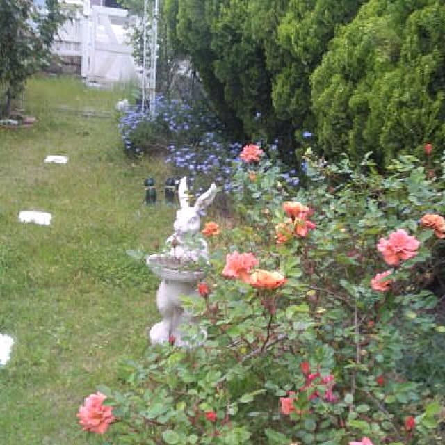 Kaoruさんの実例写真