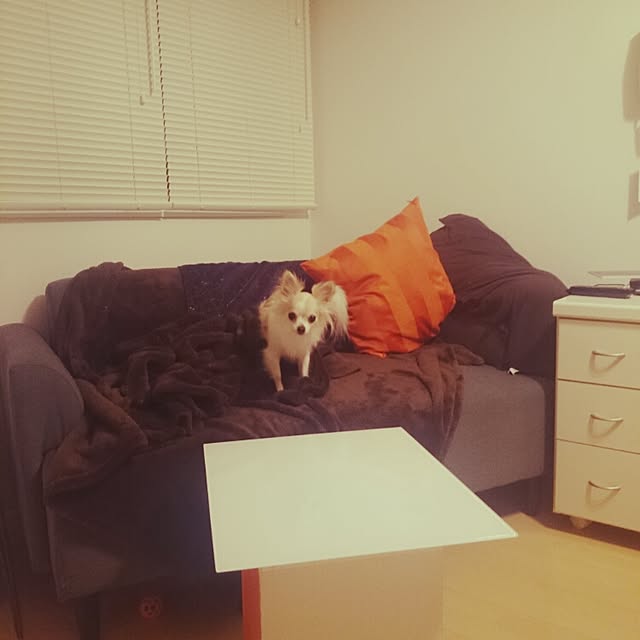 Kumikoさんの実例写真
