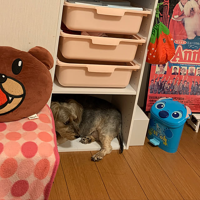 Annieさんの実例写真