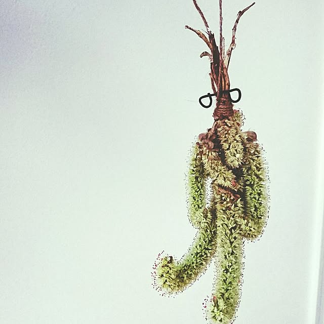 mamimamipockyさんの実例写真