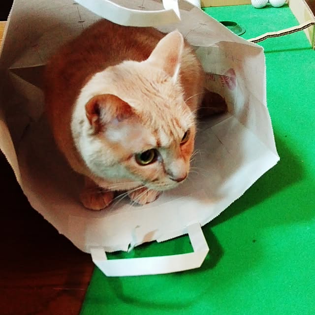 nana.maroさんの実例写真