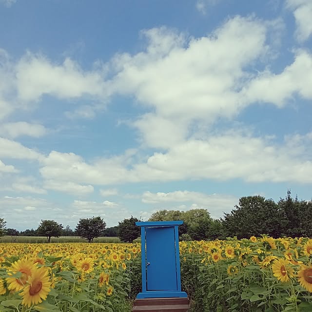 mahiro34さんの部屋