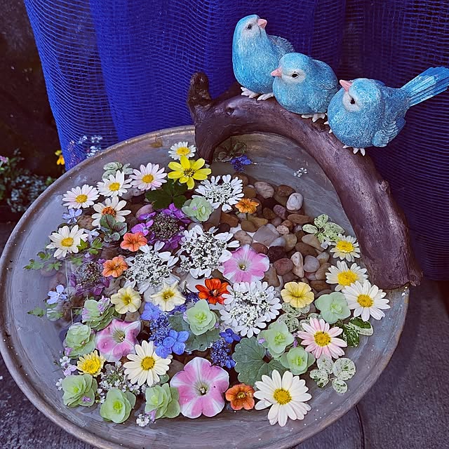 mocomocoさんの実例写真
