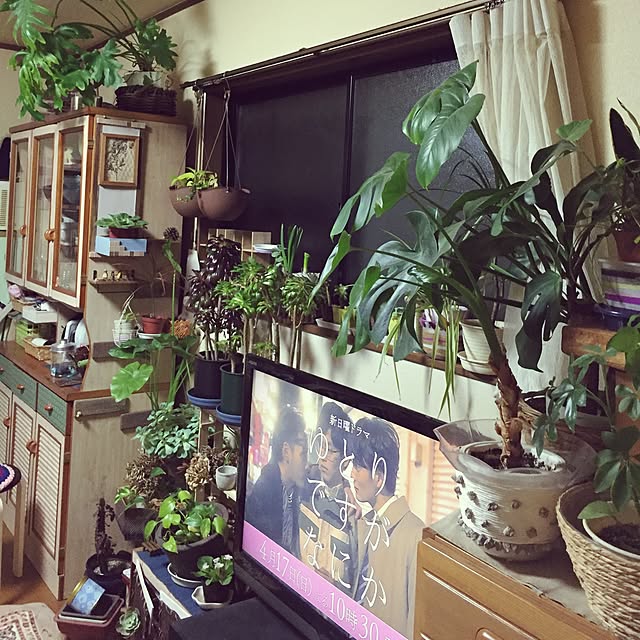 Norikoさんの実例写真