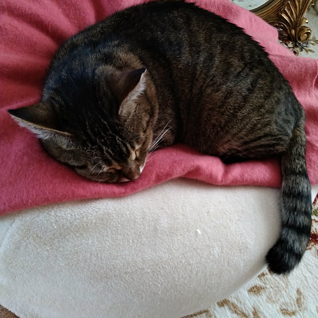 lilyさんの実例写真