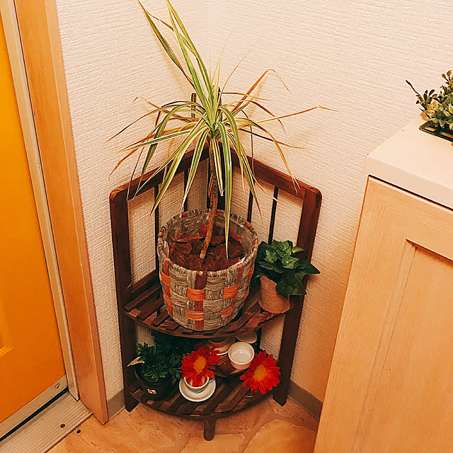 numaさんの実例写真