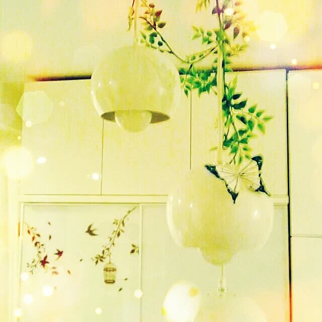 Satopanさんの実例写真