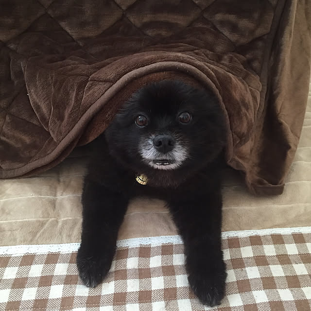 Momoさんの実例写真