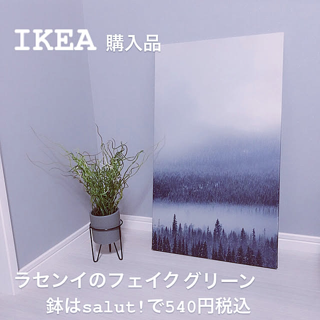 erinanaforさんの実例写真
