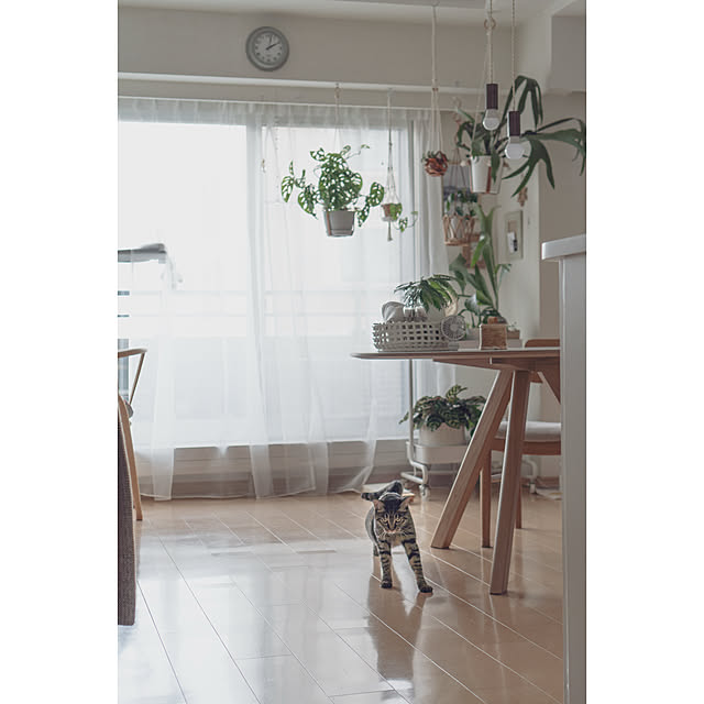 oliveさんの部屋