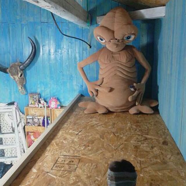ganamiさんの実例写真
