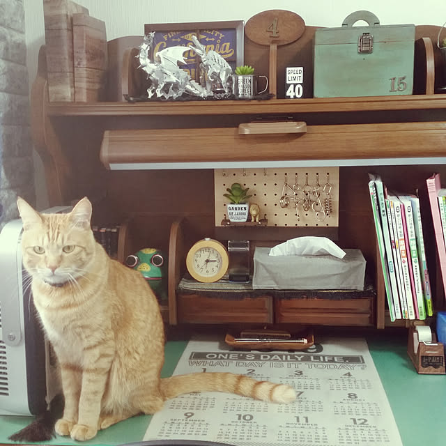 kichiさんの実例写真