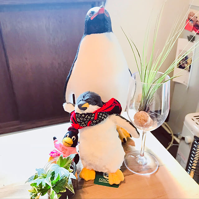 yacoさんの実例写真