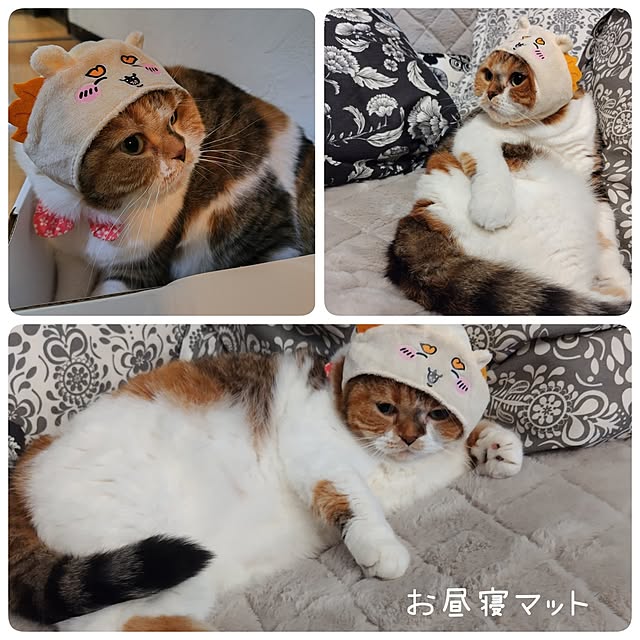hiro3さんの部屋