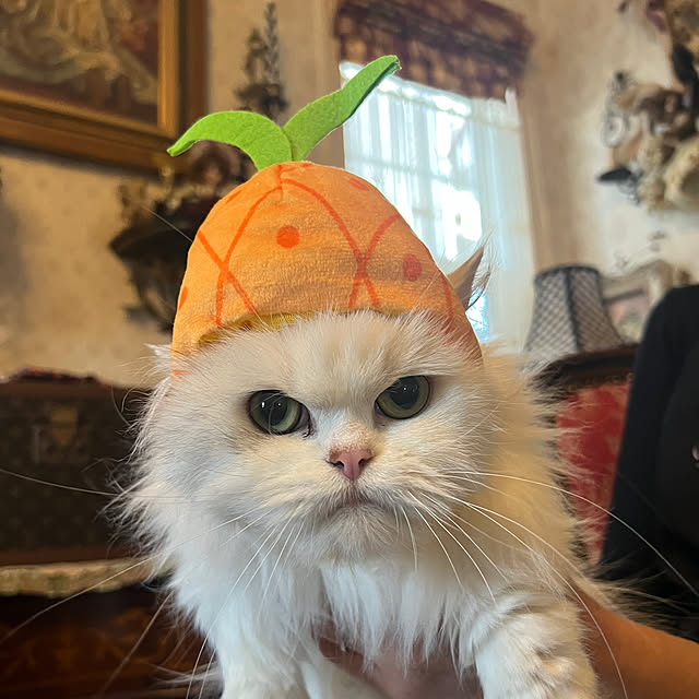 AYUKOさんの部屋