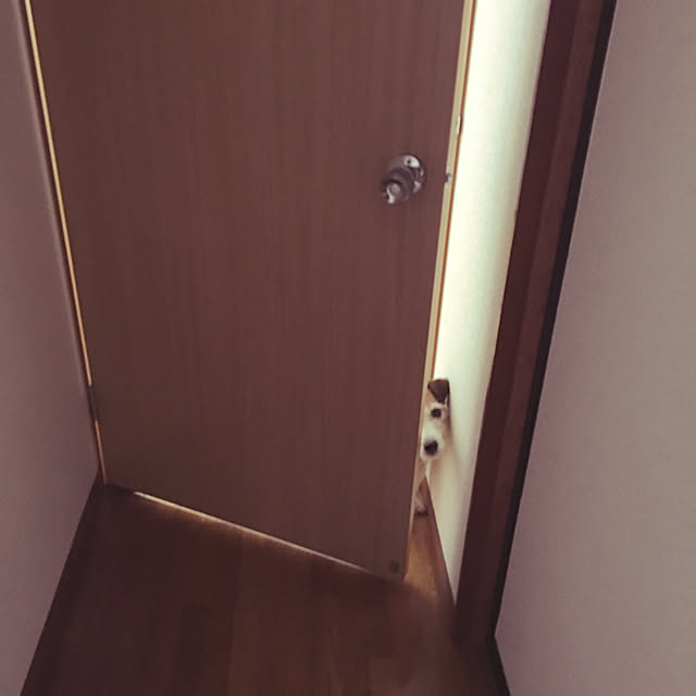 t723さんの実例写真