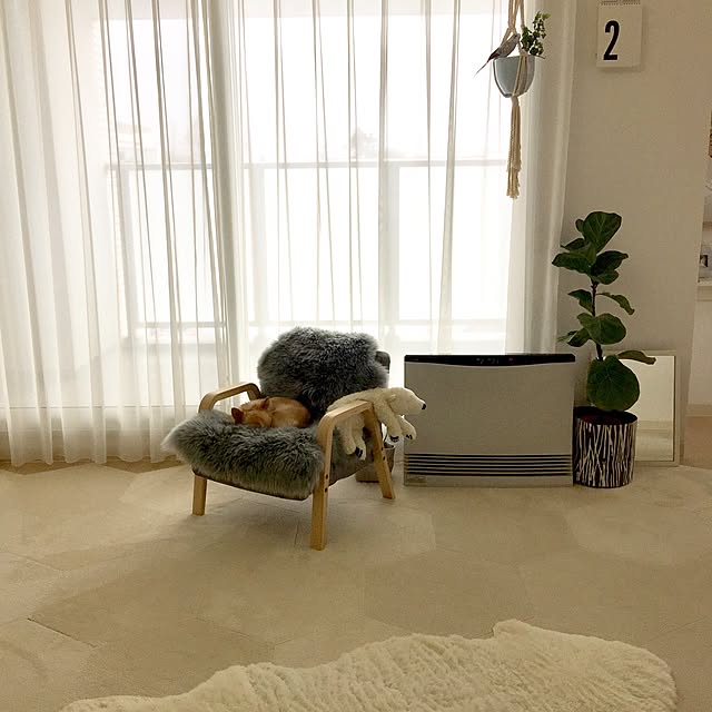 haruhinaさんの実例写真