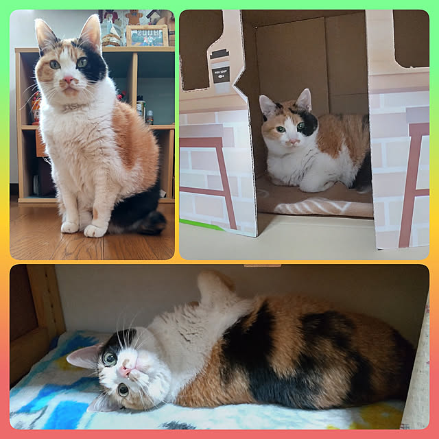nanaさんの実例写真