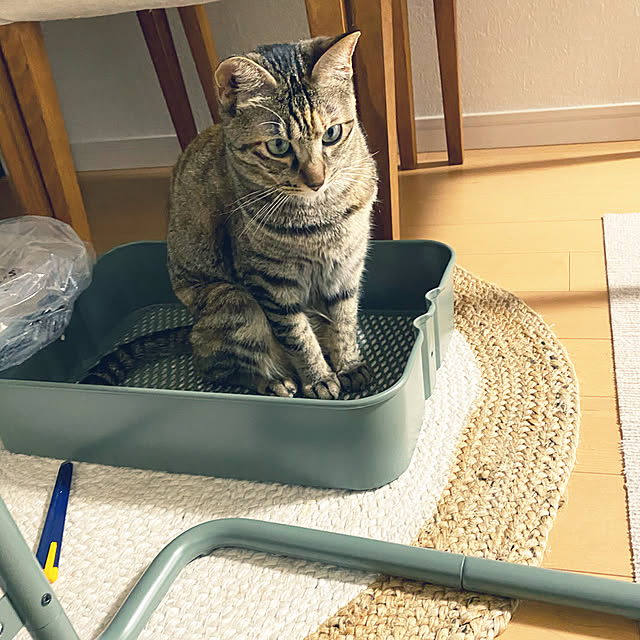 yoshieさんの実例写真