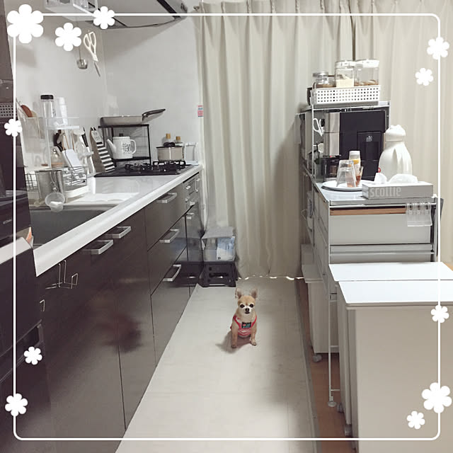 Emiさんの実例写真