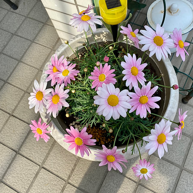 YuuKoさんの部屋