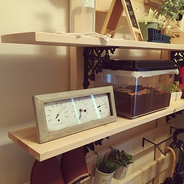 kodakaさんの実例写真