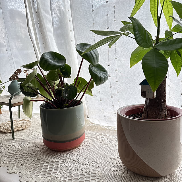 mii-tanさんの実例写真