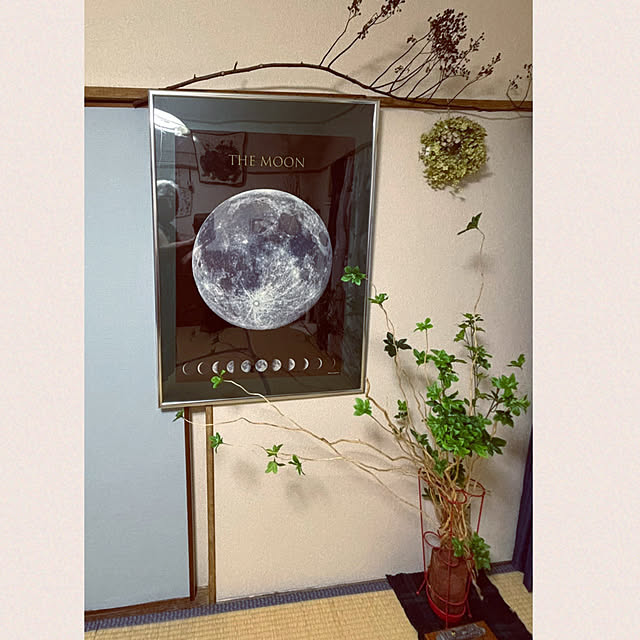 syutmmさんの実例写真