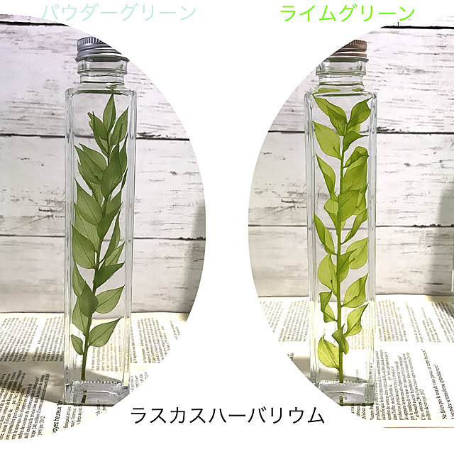 Satoshiさんの実例写真